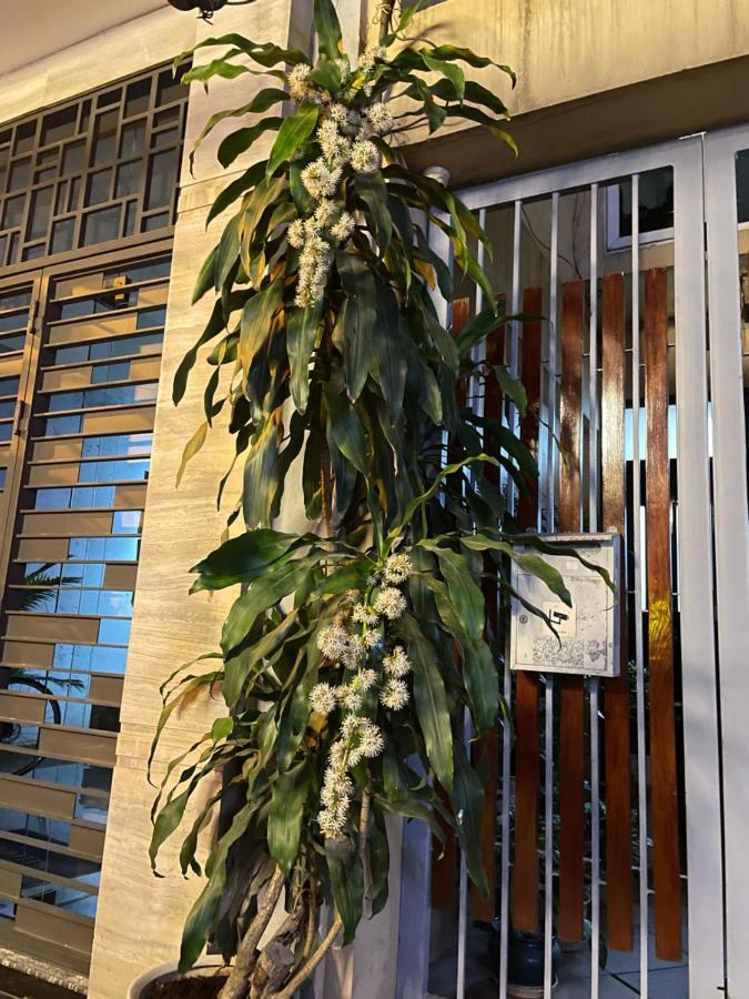 May Residence-800M From Opera House Ανόι Εξωτερικό φωτογραφία